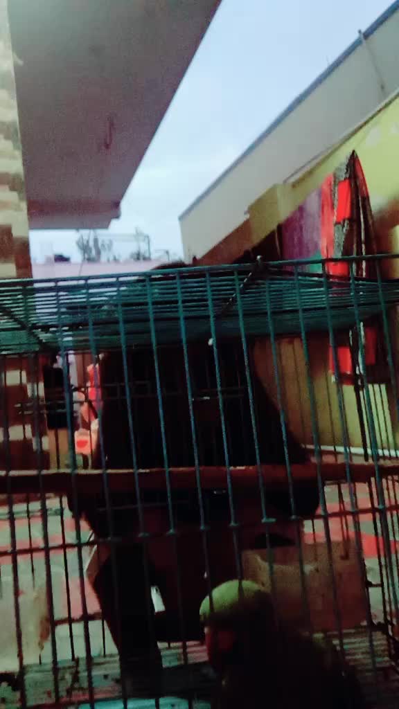 @kavin_kavin93
