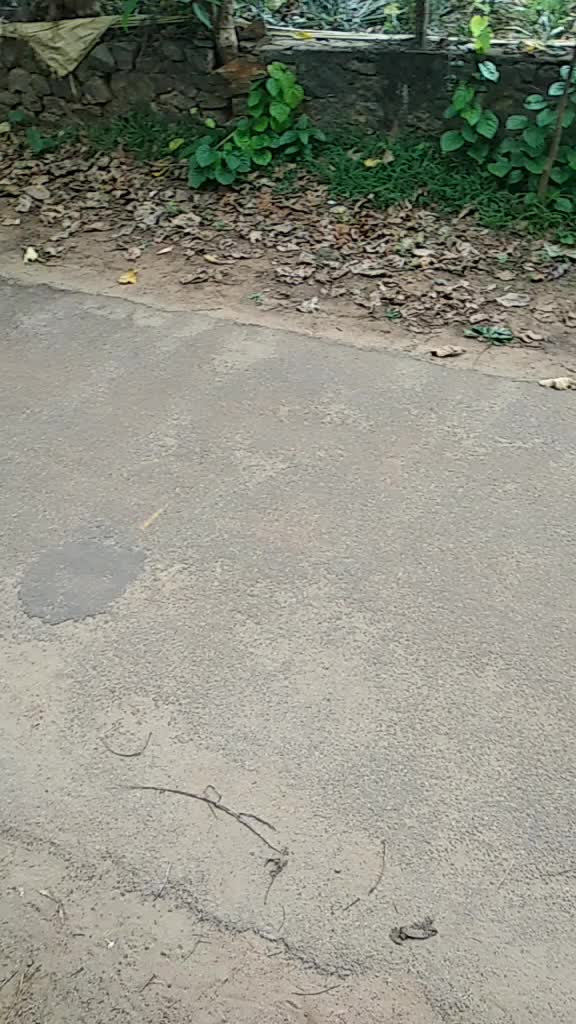 @കോടനാട്ക്കാരൻ