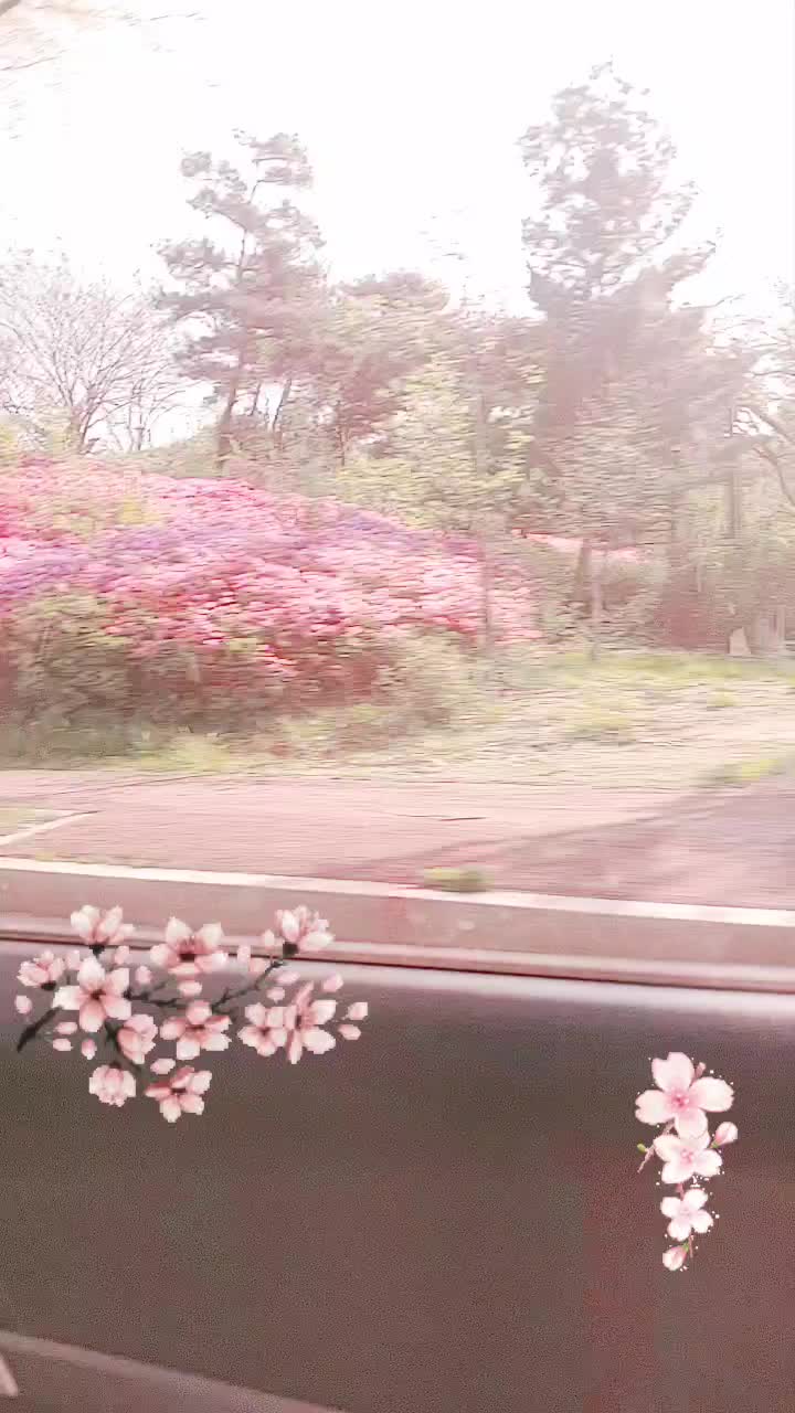@뭐 하시는거죠? 그건 제 잔상입니다만