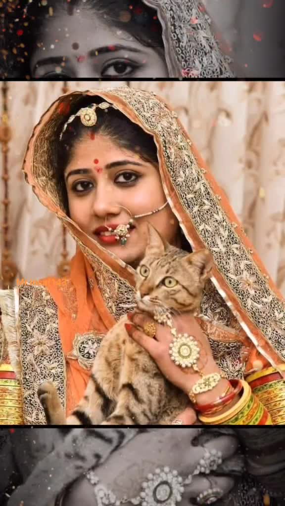 @⚡TEAM RAJASTHANI💥