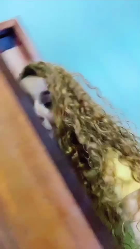 @N&eacute;rida Barbosa