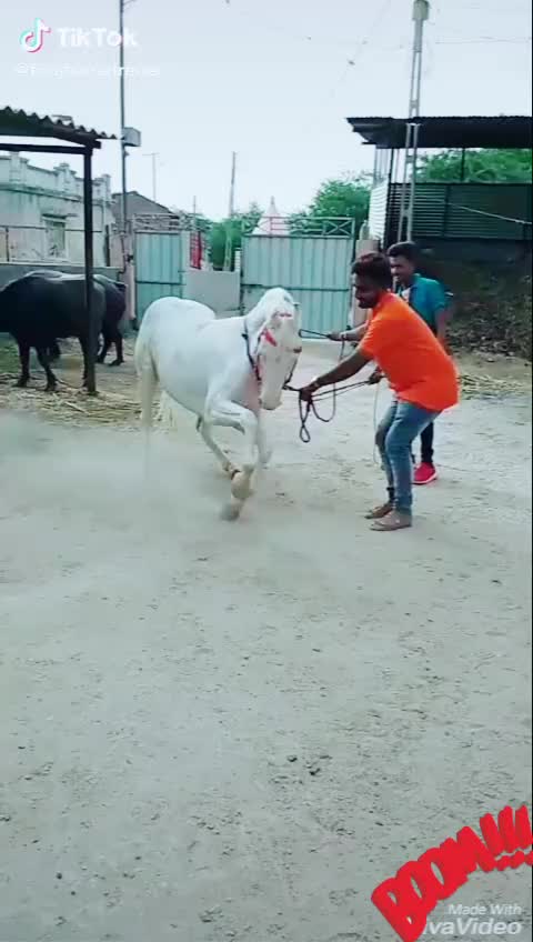 @Kishu Banna