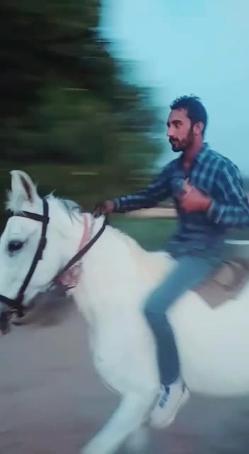 @user231308018496