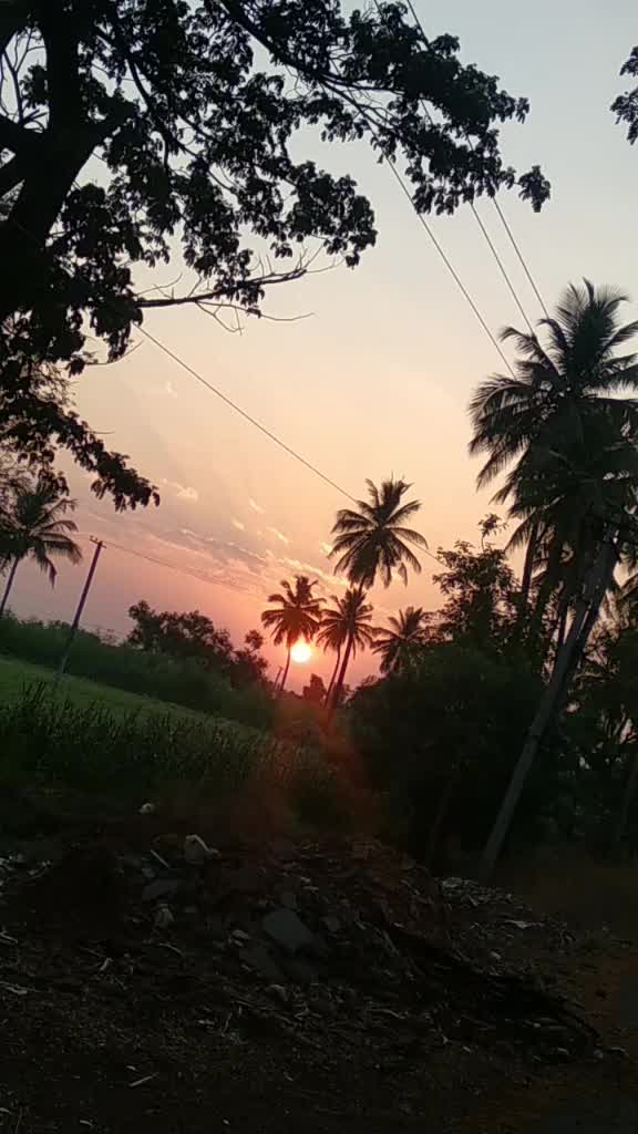 @kmshruthi