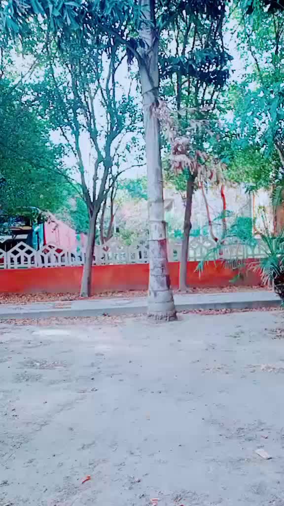 @Sunny Chaudhary