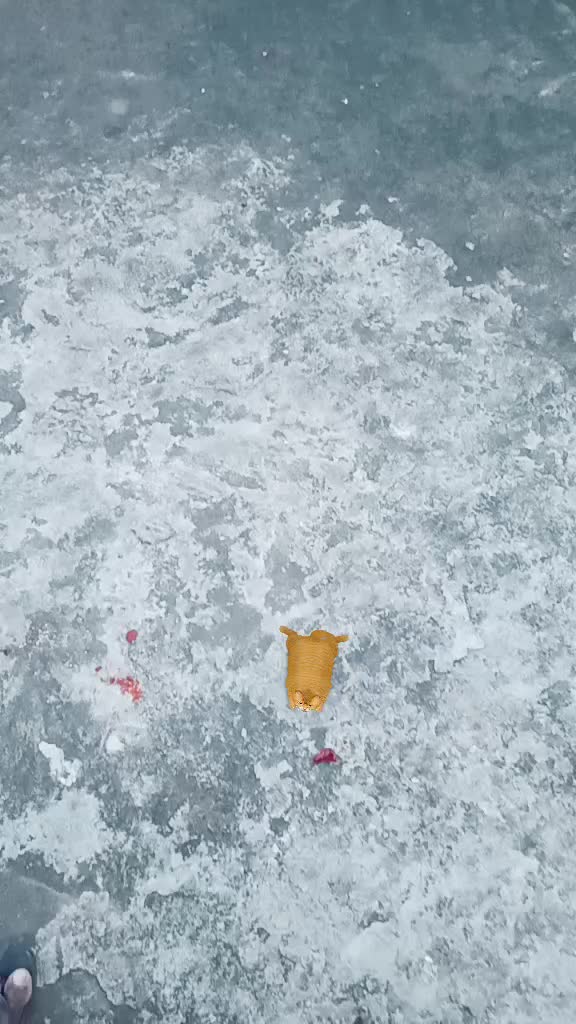 @Narasimh&aring; Čĺ&ecirc;vęř B&oslash;&yuml;