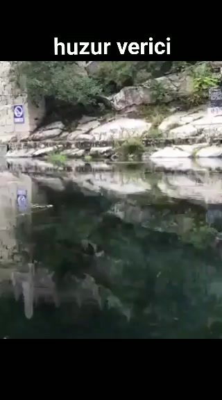 @M&uuml;sl&uuml;m KUŞ