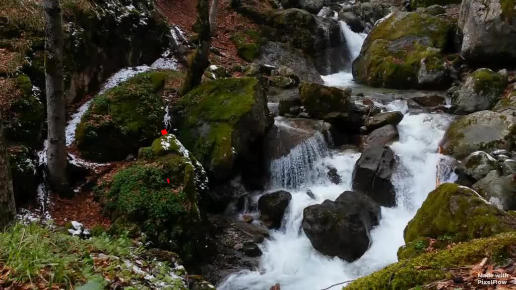 @🌹🌺शिवांश हु मैं 🔱