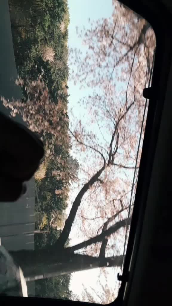 @피오를 영원하는윤서❤_풍덩💦