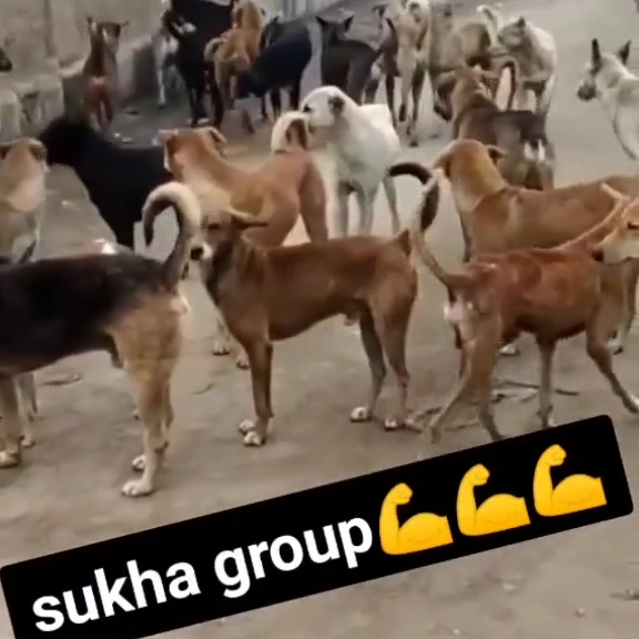 @Monu Kundu332