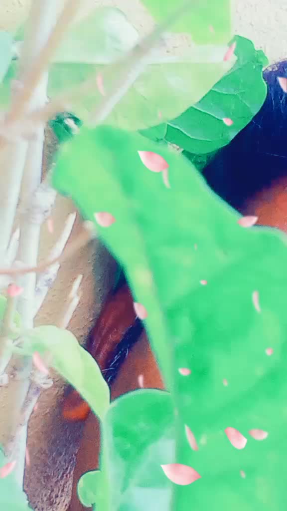 @leninjegan