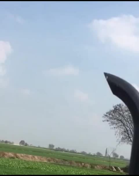 @tractor de shonki