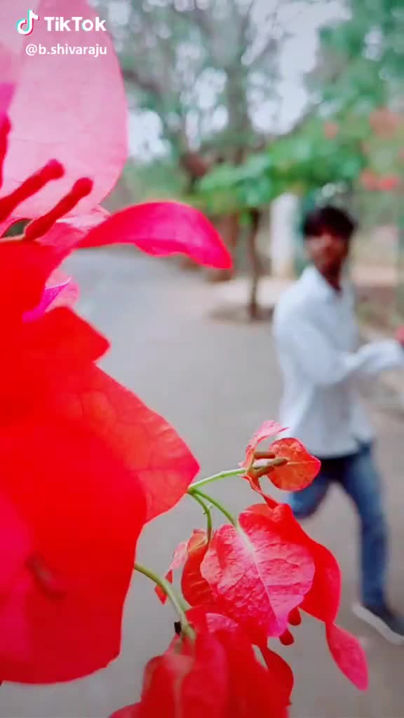 @ಶಿವ💛❤ನಾಗ