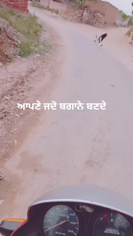 @Sarbjeet Singh