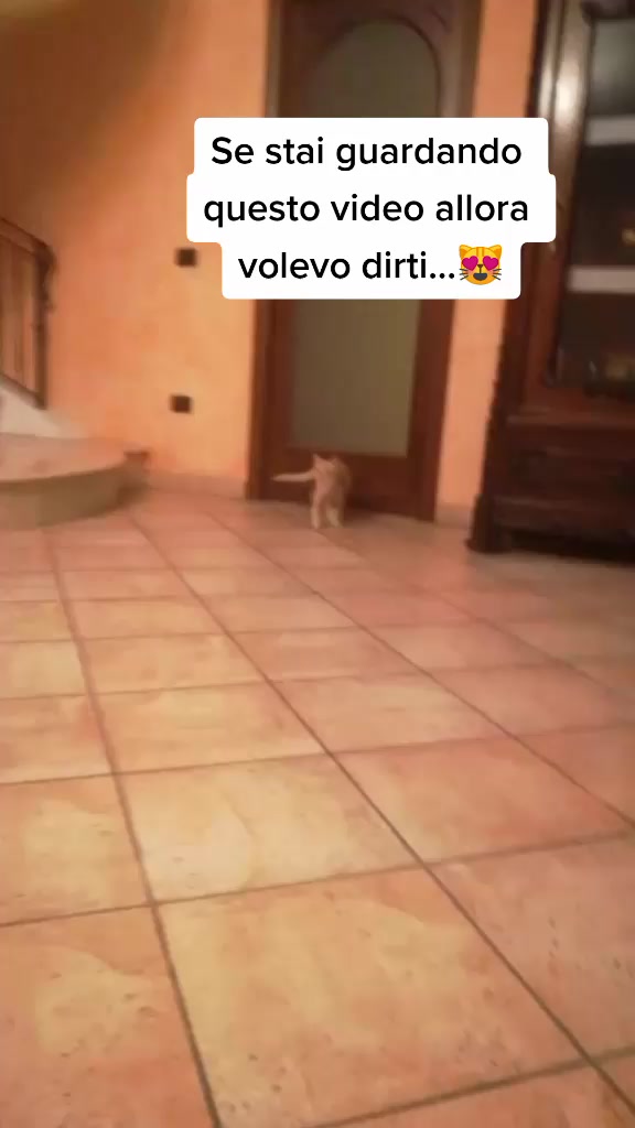 @Miele🐱🐈