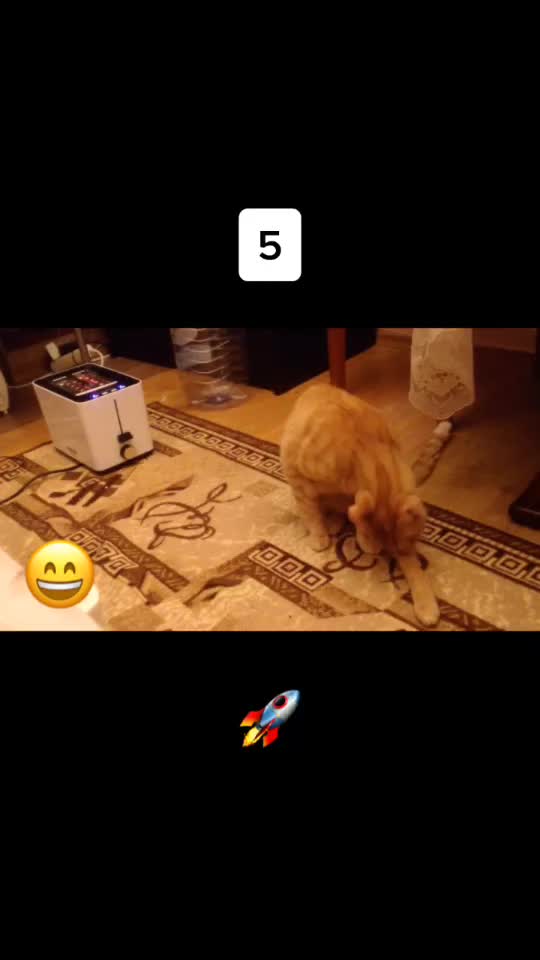 @Егор Тихомиров