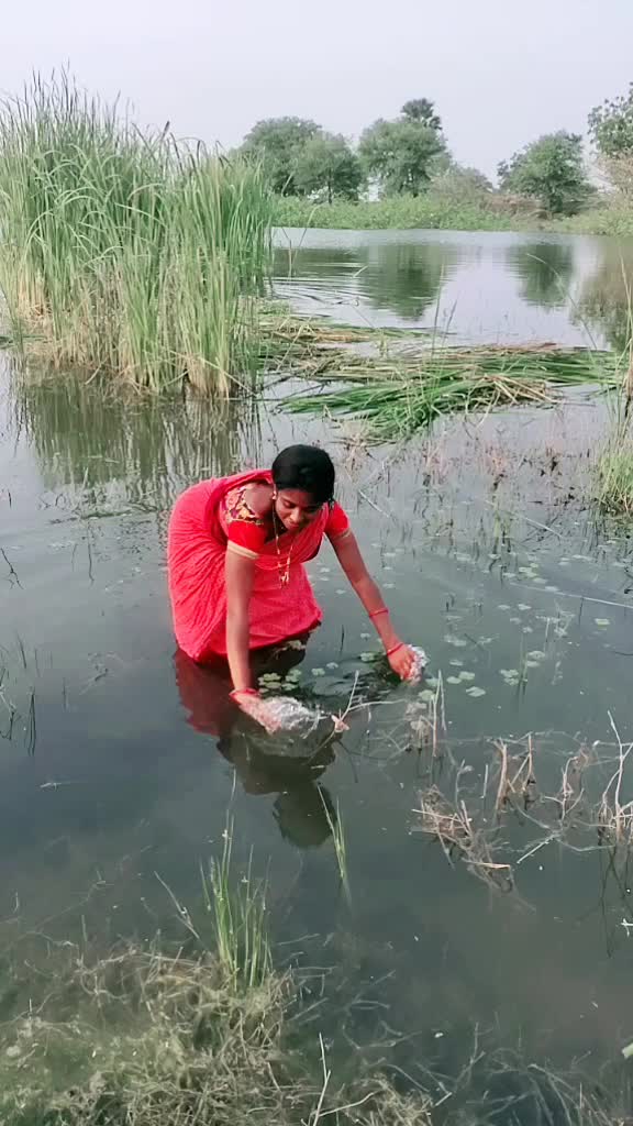 @pmprabhavathi
