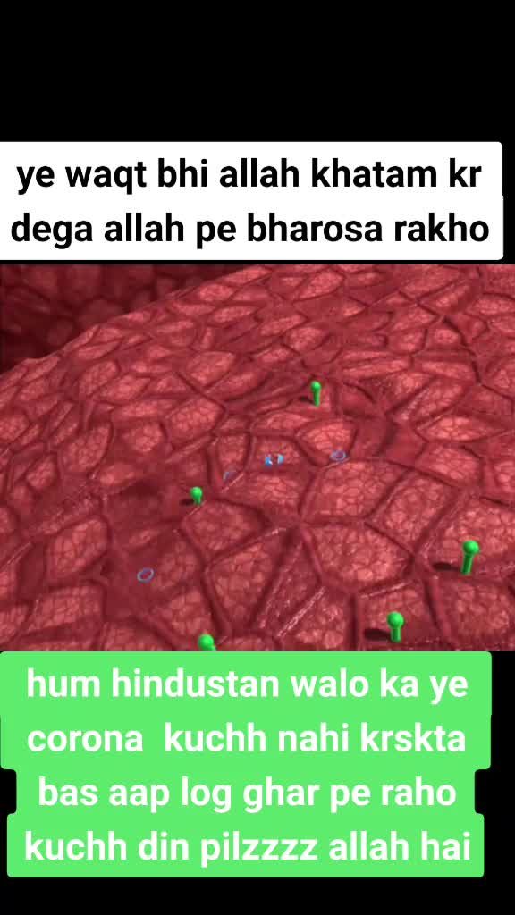 @Syed moin ali