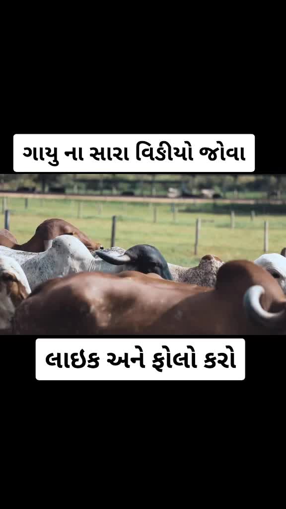 @KaN&oslash;&Oslash;_BHaRWaD_8699