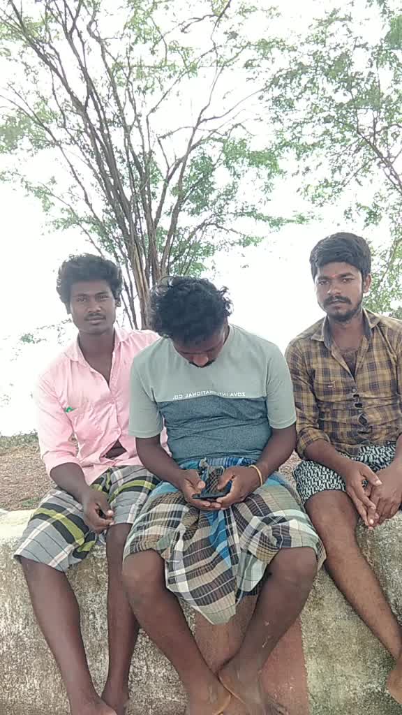 @பச்சை கிளி