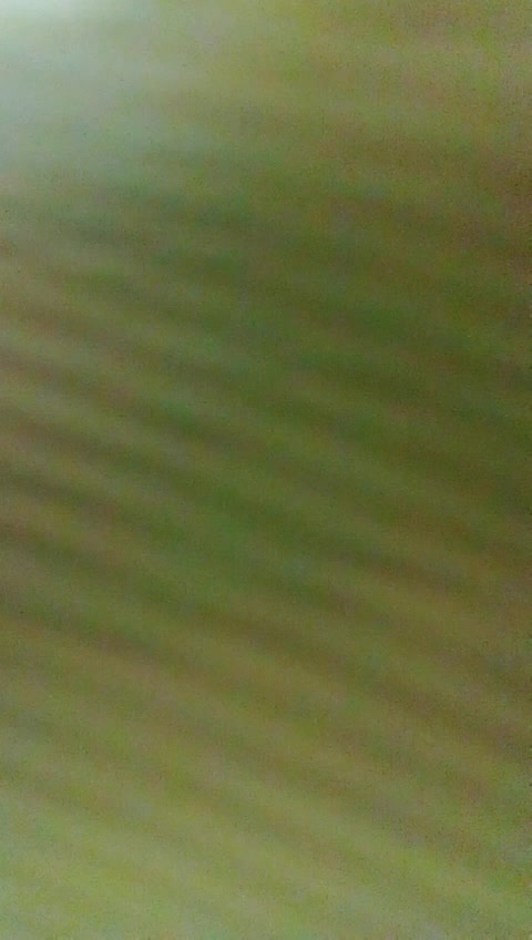 @Payel
