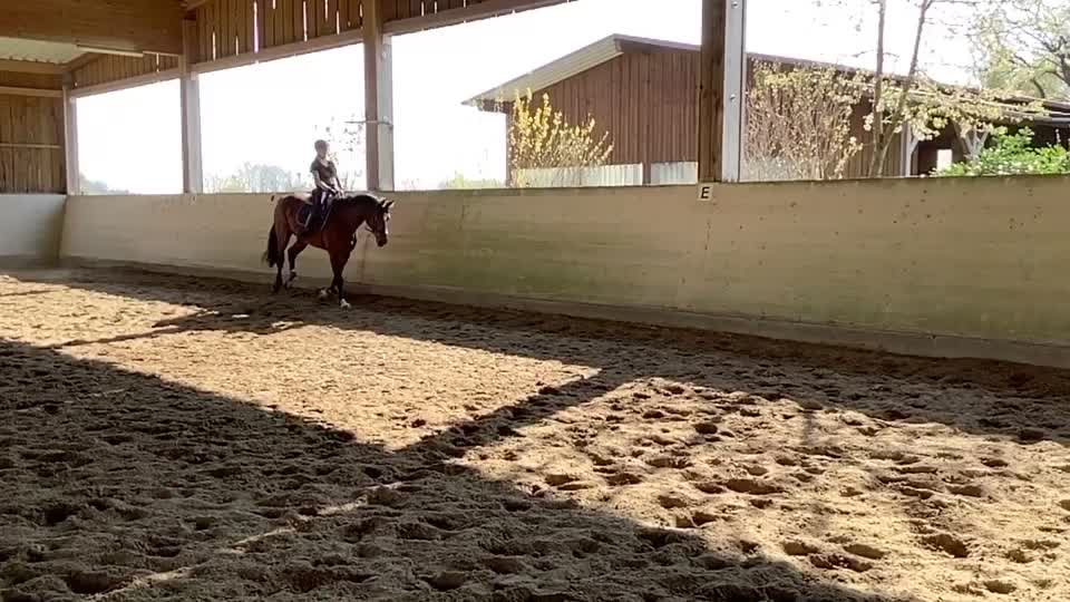 @My.soulhorse❤️🥺✌🏻