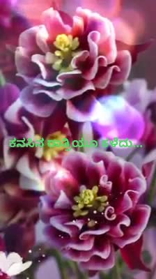 @Naghu R M N