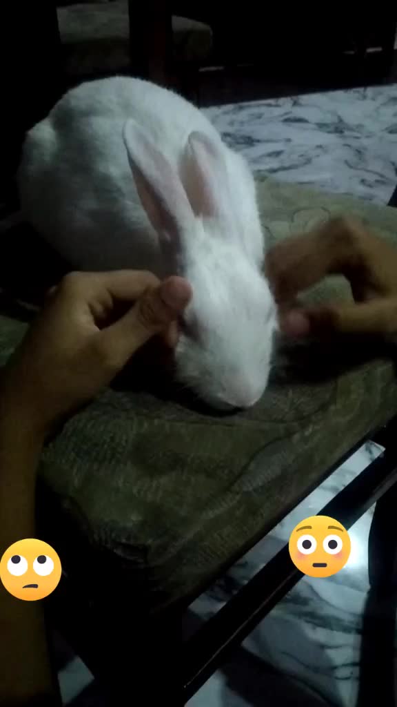 @Yaju Bajpai