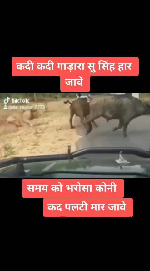 @ds_rajput _0007