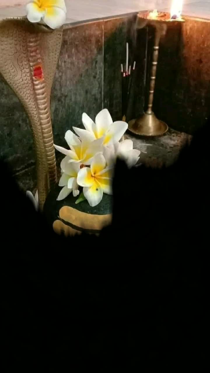 @girijagirish