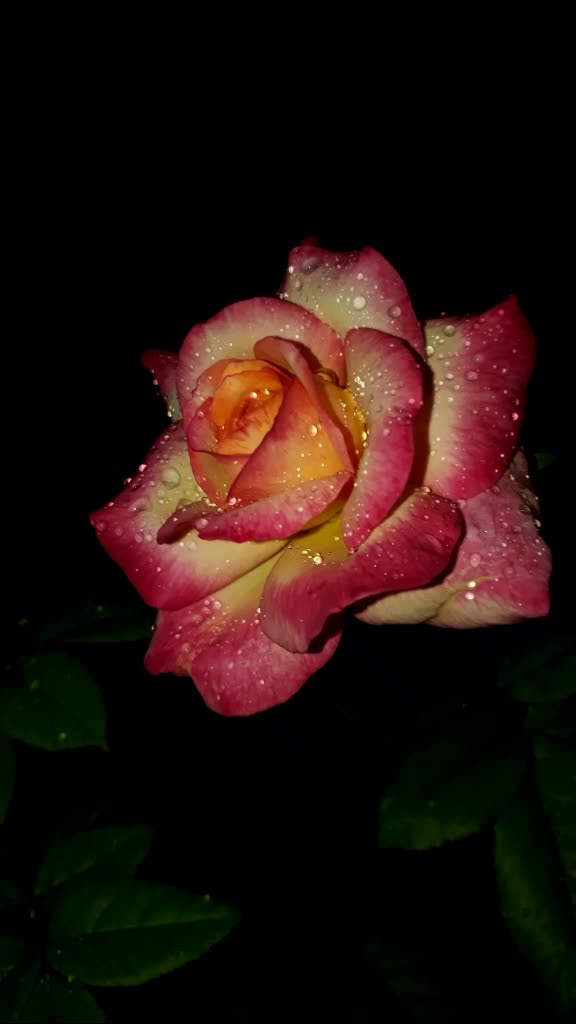 @KNS Photography