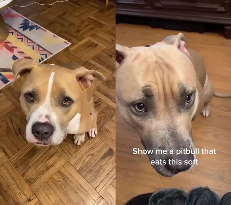 @LilyBug