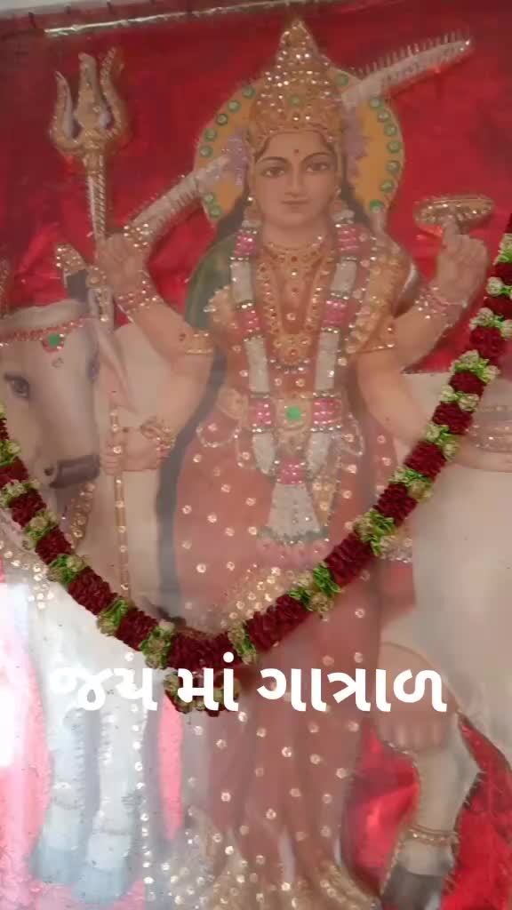@prince_nimavat_17