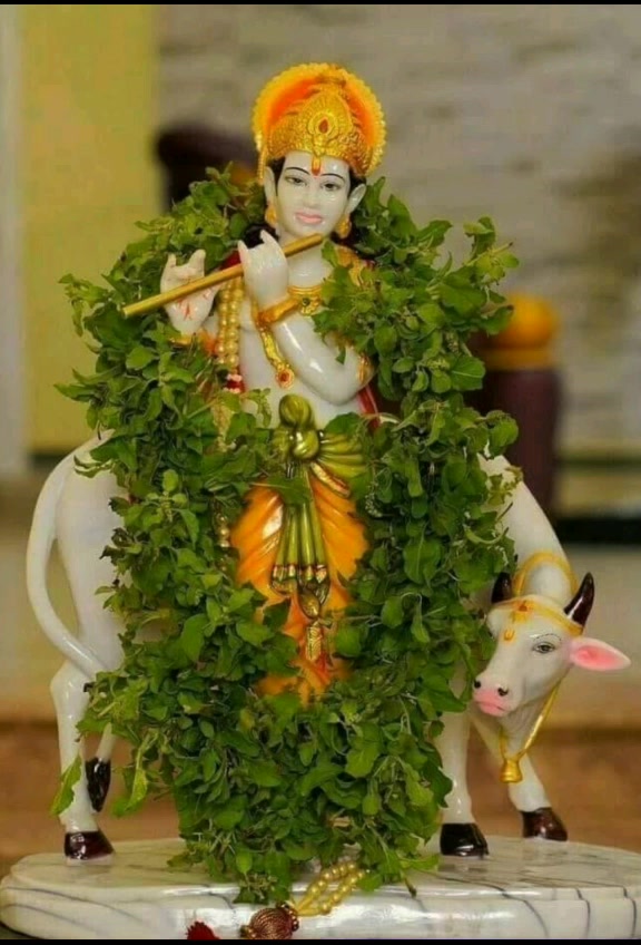 @NikeshKrishna.