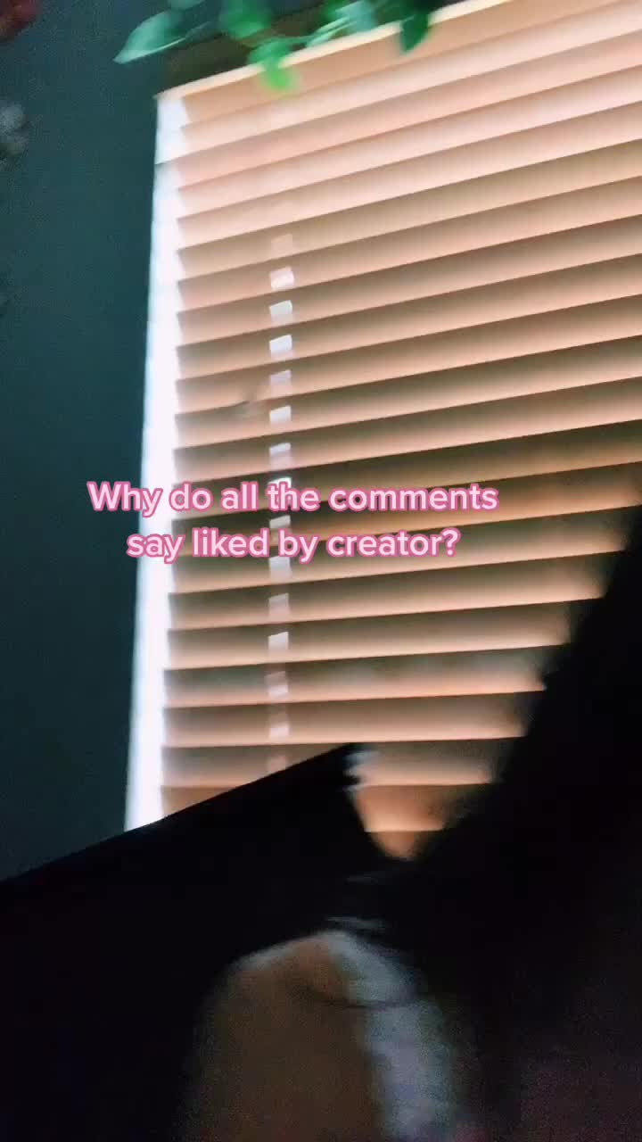 @musiclytransitionque