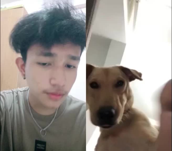@Sujal 🐾