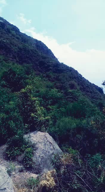 @Rizwan khan