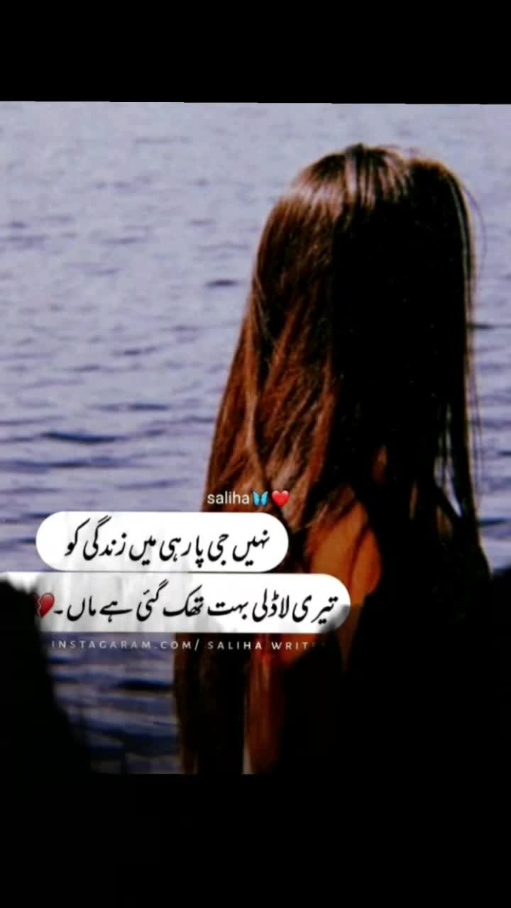 @🦋"Gull.zar"🦋