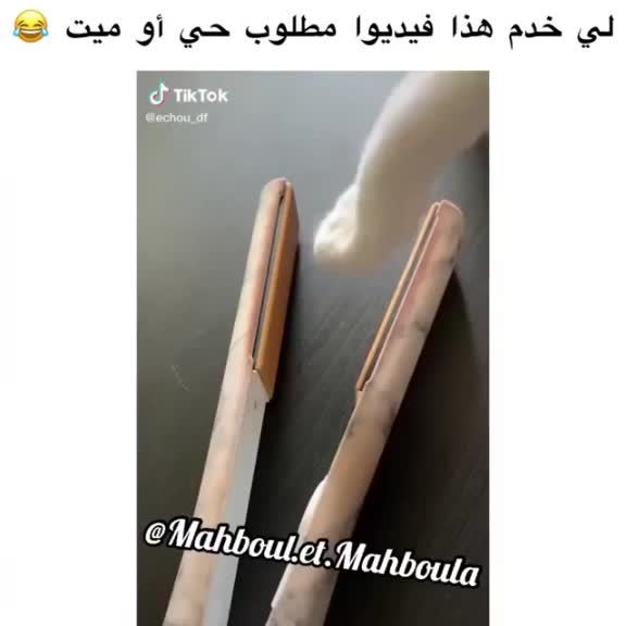 @Rayan.guetni.
