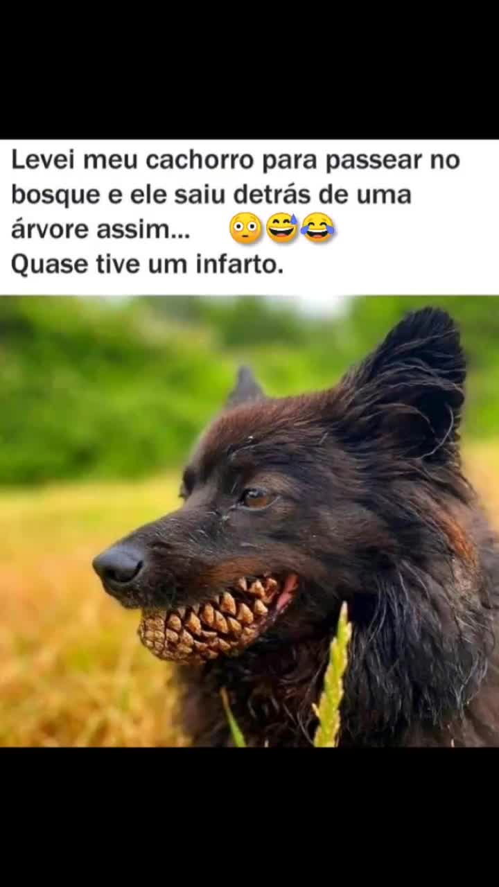 @Calebs