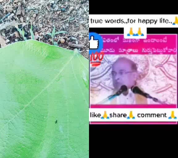 @erugu ramesh