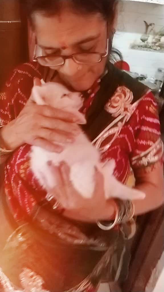 @Priyank sharma