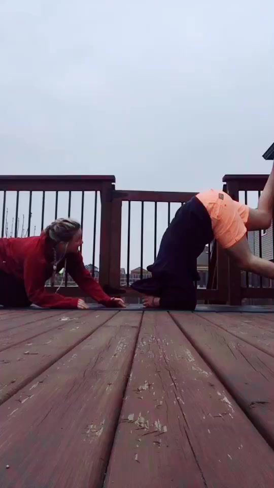 @bee.yogi