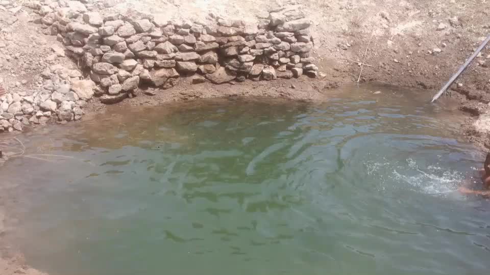 @.༺꧁:!🌹साईलीला🌹!:꧂༻