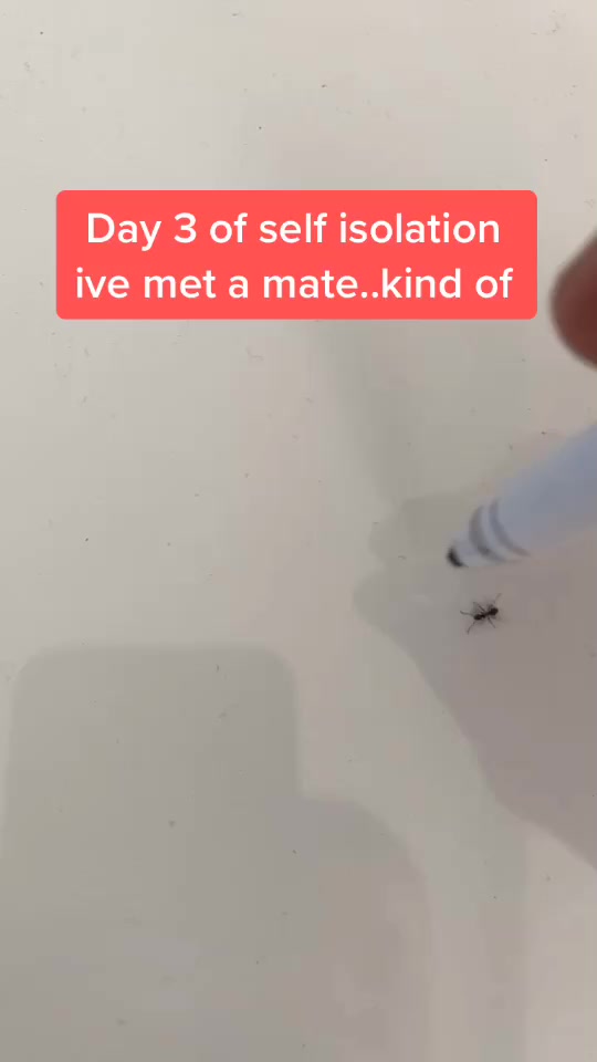 @maccaread17