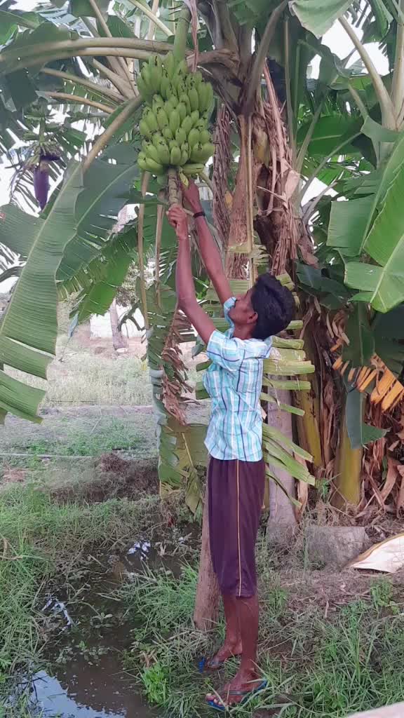 @Sasi Kumar