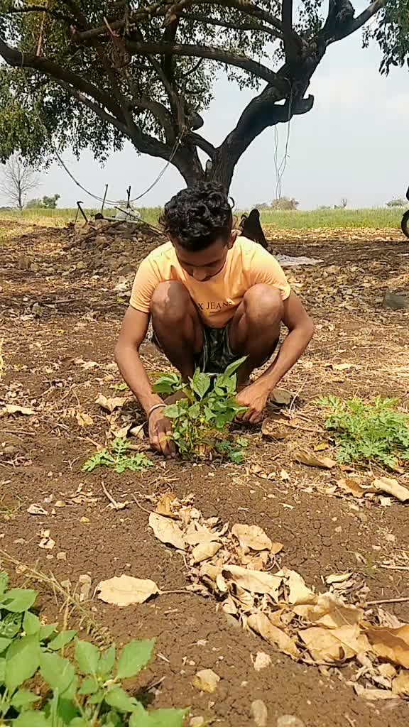 @Mr.Pritesh Ghuge