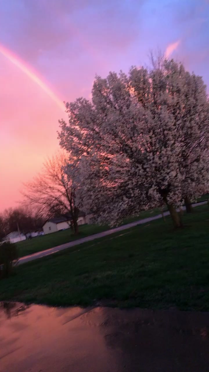 @Cat💜