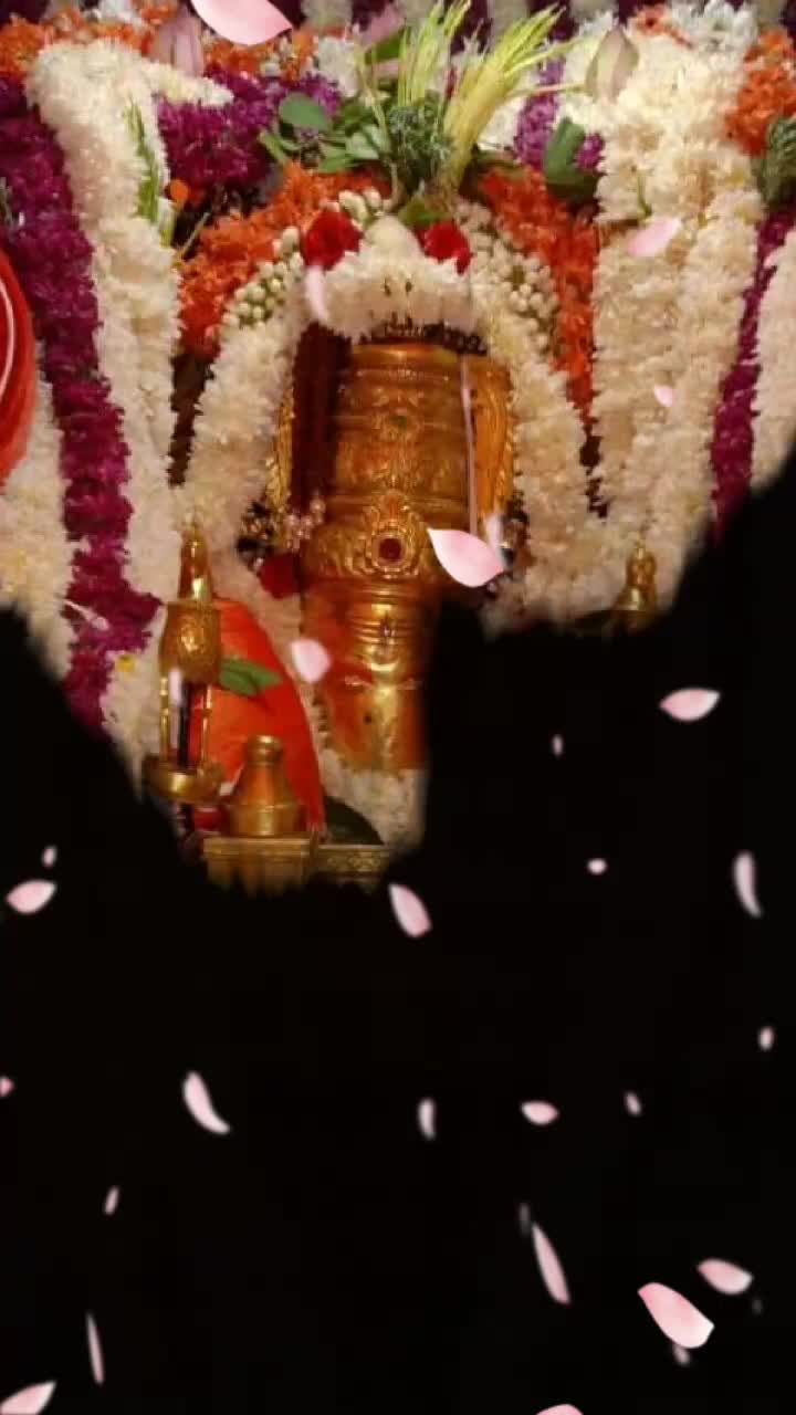 @@Spanadanaraj94