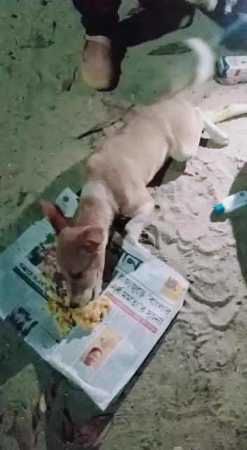 @Mahi Fouzder🐾😇